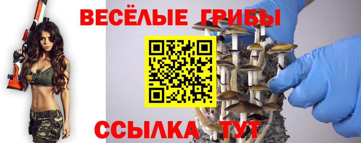 Псилоцибиновые грибы Cubensis Рыбинск